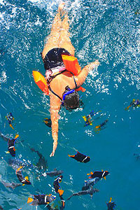 Puerto Vallarta Snorkeling