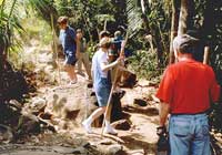 Puerto Vallarta Hiking