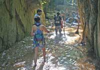 Nuevo Vallarta Hiking