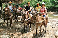 Mule Ride at Cuale Mountain Expedition Puerto Vallarta