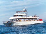 Puerto Vallarta Boat Tour