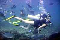 Puerto Vallarta Scuba Diving