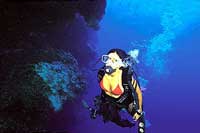 Puerto Vallarta Scuba Diving