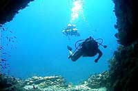 Puerto Vallarta Scuba Diving