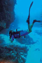 Puerto Vallarta Scuba Diving