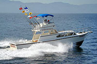 Fishing Puerto Vallarta