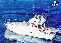 Puerto Vallarta Sportfishing