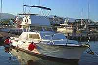 Puerto Vallarta Fishing