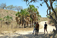 Hiking Tour in Puerto Vallarta