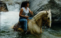 Puerto Vallarta Horseback Riding