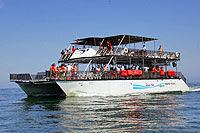 Fiesta Ixtapa Kon Tiki II in Puerto Vallarta