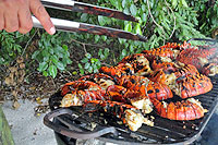 BBQ Lobster Beach Party, Puerto Vallarta