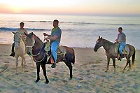 Private Horseback Riding Puerto Vallarta