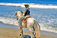 Puerto Vallarta Private Horseback Riding