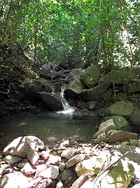 Sierra Madre Hiking Puerto Vallarta
