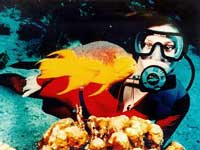 Puerto Vallarta Scuba Diving