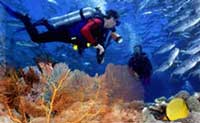 Puerto Vallarta Scuba Diving