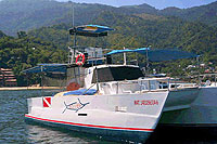 Catamaran Snorkeling