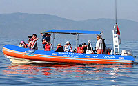 Zodiac Whale Watching Puerto Vallarta