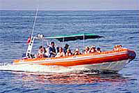 Open Air Expeditions Zodiac