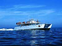 Puerto Vallarta Booze Cruise