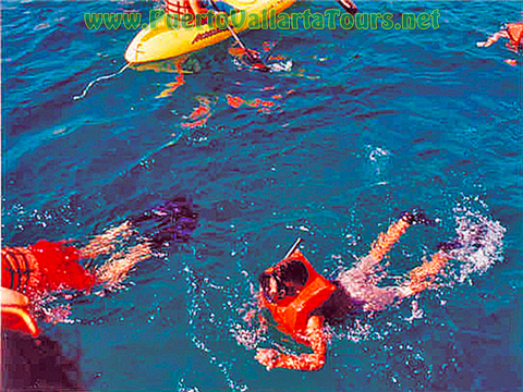Catamaran Charter Private Snorkeling