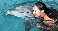 Swim With Dolphins in Puerto Vallarta