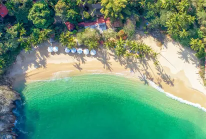 Private Charter for Groups - Puerto Vallarta