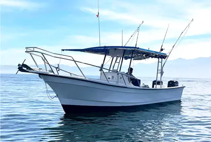 Private Charter for Groups - Puerto Vallarta