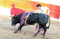Bullfighting in Puerto Vallarta Mexico