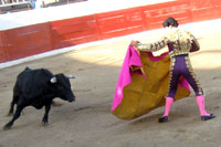 Puerto Vallarta Bullfighting
