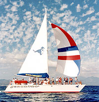 Gay Puerto Vallarta Sailing Cruise