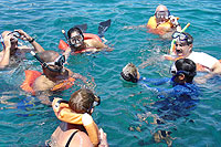 Puerto Vallarta Snorkeling