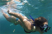 Puerto Vallarta Snorkeling Excursion