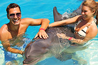 Private Puerto Vallarta Dolphin Swim for Couples