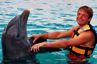 Handshake - Dolphins in Puerto Vallarta
