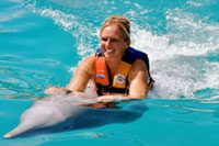 Belly Ride - Puerto Vallarta Dolphins