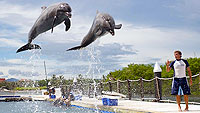 Dolphin Trainer Puerto Vallarta