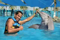 Puerto Vallarta Dolphins