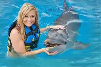 Dolphins in Puerto Vallarta