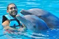 Puerto Vallarta Dolphin Swimming