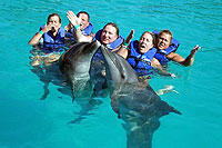 Puerto Vallarta Dolphin Swims