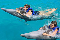Dolphin Swim Puerto Vallarta
