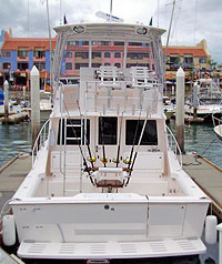 35' Cabo - Puerto Vallarta Fishing