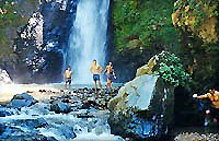Waterfall Swim Puerto Vallarta