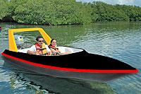 JetSea Puerto Vallarta Speedboat Tour