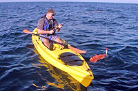 Puerto Vallarta Kayak Fishing Excursion