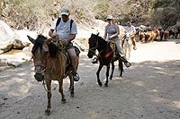 Quimixto Horseback Riding Puerto Vallarta