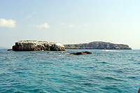 Fun in Puerto Vallarta