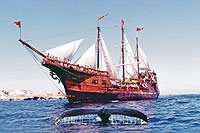 Pirate Ship Puerto Vallarta